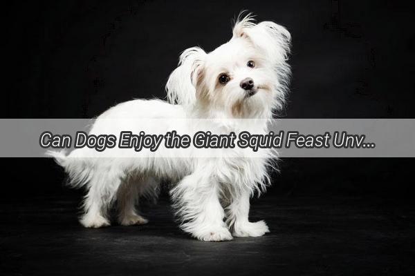 Can Dogs Enjoy the Giant Squid Feast Unveiling the Truth Behind This Unusual Treat